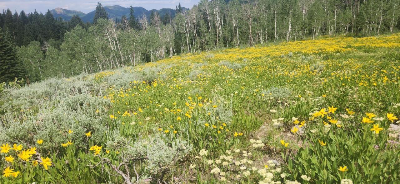 Stunning At Solitude, Steps From Chair Lift, East #103 Brighton Esterno foto